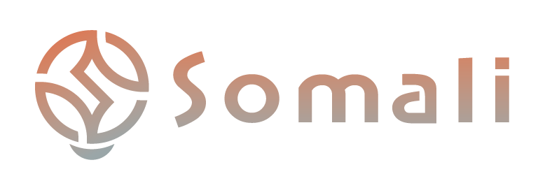 株式会社Somali