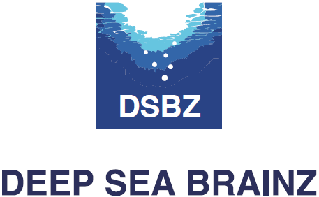 株式会社 DEEP SEA BRAINZ